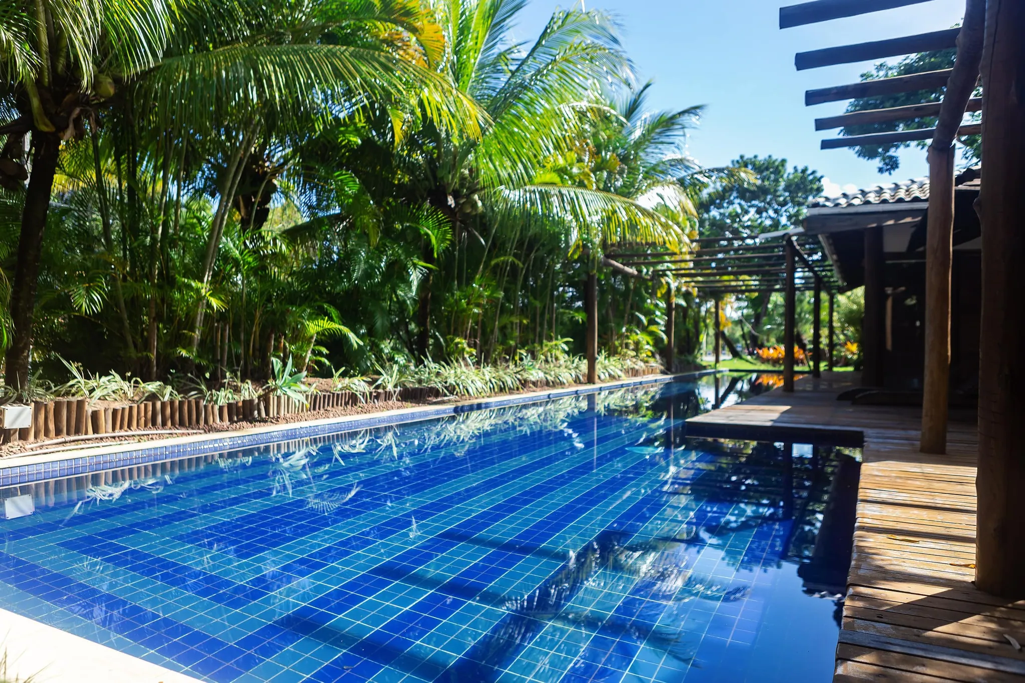 Piscina azul cercada por palmeiras, com pergolado de madeira ao lado